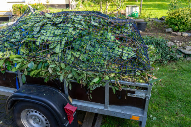 Retail Junk Removal in Pike Creek Valley, DE